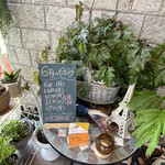 ビストロ セレニテ - 