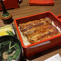 新宿 うなぎ菊川 - 