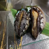 銀座うかい亭 - 鮑　名物岩塩焼きで