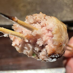 YAKITORI 燃 es - 断面