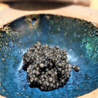 bb9 - 