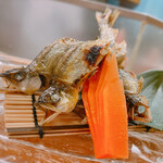 おおさか料理 淺井 東迎 - 