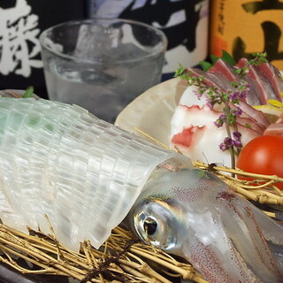 Directly delivered from Yobuko!! Live squid is now in stock.