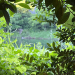 四季の郷　喜久屋 - 