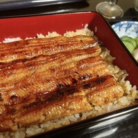 うなぎ割烹 大江戸 - 