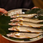 日本料理 たかむら - 和良鮎