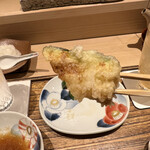 日本橋 蕎ノ字 - ズッキーニ　塩　リフトアップ