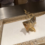 日本橋 蕎ノ字 - 稚鮎　塩で