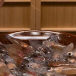 片折 - 活き蛍烏賊