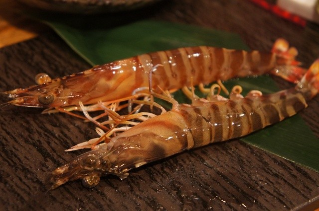 白魚と車エビの躍り食い 珍しい魚料理も味わえる ３人以上で刺身盛り必須で伺いたい By ゆめゆめ だぼ 赤坂 魚介料理 海鮮料理 食べログ