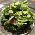 cenci - 山菜　ホタルイカ