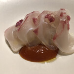 cenci - 筍　鯛　梅　桜