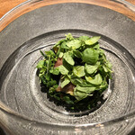 cenci - 山菜　ホタルイカ