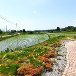 ポムミエル - こちら春のお店の前