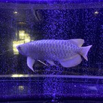 焼肉 拍手喝采 - 