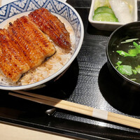 うなぎ 目白ぞろ芽 - 