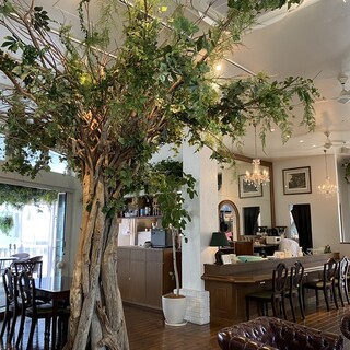 ブルズガーデン_2