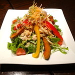 Asemborakuza - 蒸し鶏と彩野菜のサラダ