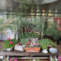 ラ･スコリエーラ - 