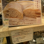 カーラ・アウレリア - 