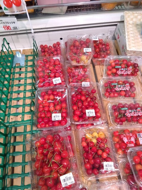 ト一屋 新橋店（といちや） - 酒田（その他）の写真