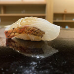 日本橋蛎殻町 すぎた - 鯛