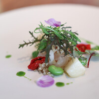 コレドガーナ - ２０２２年６月再訪：アカハタのカルパッチョ☆