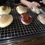 いさりび食堂 - 