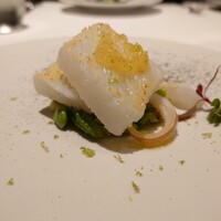 recte - 下北 アオリイカ