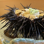 鮨駒 - 宮城三陸産がぜ雲丹丼