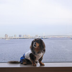 ホテル インターコンチネンタル 東京ベイ - お部屋からの眺め