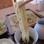 そば 蕎心庵 - 蕎麦の先っちょに汁をﾁｮﾝと浸けて・・