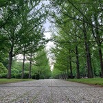 中華蕎麦 春馬 - 山形県総合運動公園