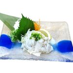 Royal white senmai sashimi