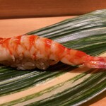 鮨　樋口 - 車海老