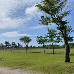 Soba Tetsu - お店に行く前に寄った緑ヶ丘公園で①