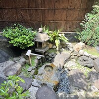 雪梅花 菜根譚 - 