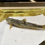 上野 寿司 個室 天通 - 