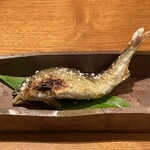 鹿教湯 三水館 - 