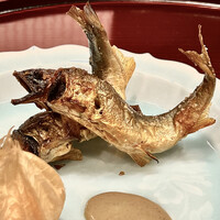 祇園 椿 - 