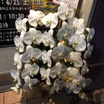 麺屋一燈 - 12周年祝い花