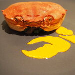 プレゼンテ スギ - 漁師さんからの贈り物