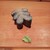 新橋鶴八 - 料理写真:コハダつまみ。ガリと山葵を挟むのが鶴八流