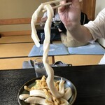 大木うどん店 - 太麺リフト
