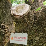 オウ ショウ カフェ - 