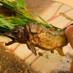 銀座 小十 - ・鮎の炭火焼きズームアップ