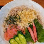 Soba Dokoro Hana Nomi - 冷やしたぬきそば大盛