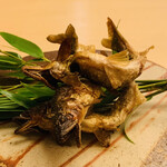 銀座 小十 - ・鮎の炭火焼き エビス黒ビールと