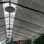 根ッ子うどん - 