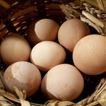 my farm to table おにや - 